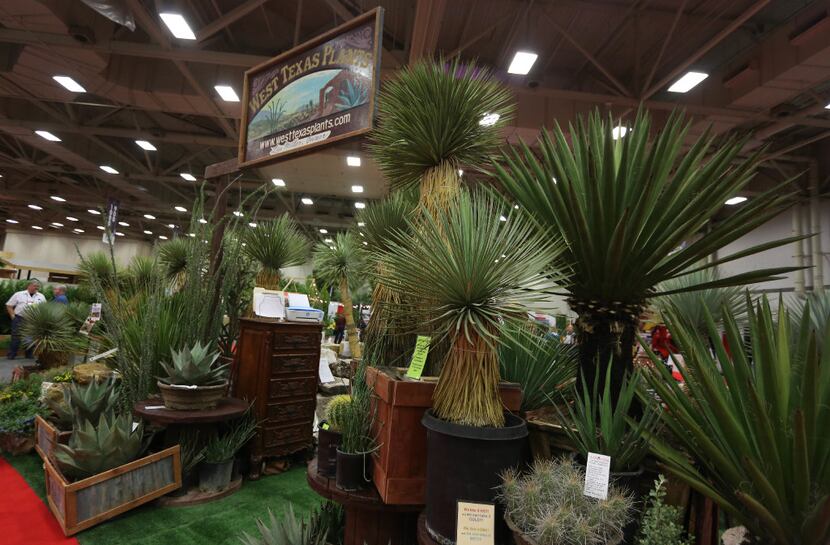 The West Texas plants display at Texas Nursery and Landscape Association expo 
