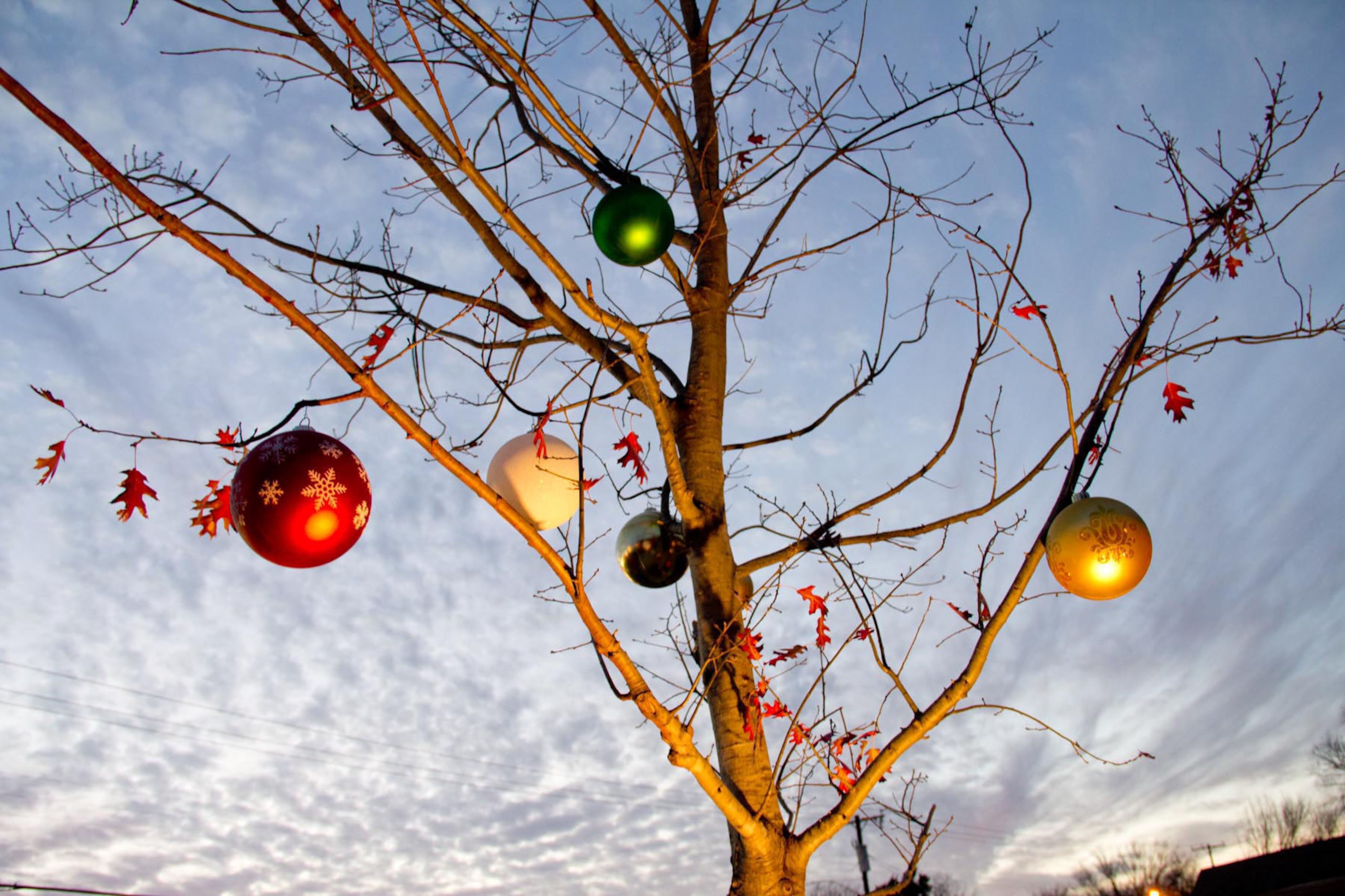 Sunset on the Goodfriend Beer Garden's "Hopocalypse" Christmas tree out on the patio on...