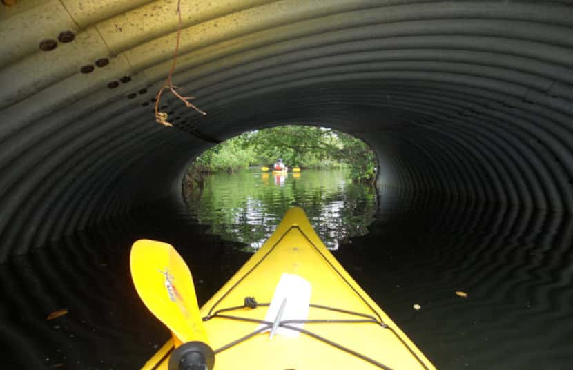 In Oleta River State Park, near Sunny Isles, Florida, kayakers paddle into Sandspur...