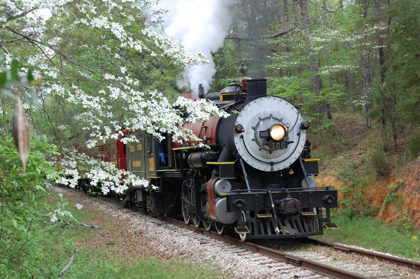 The vintage Texas State Railroad travels a path between Palestine and Rusk in East Texas.