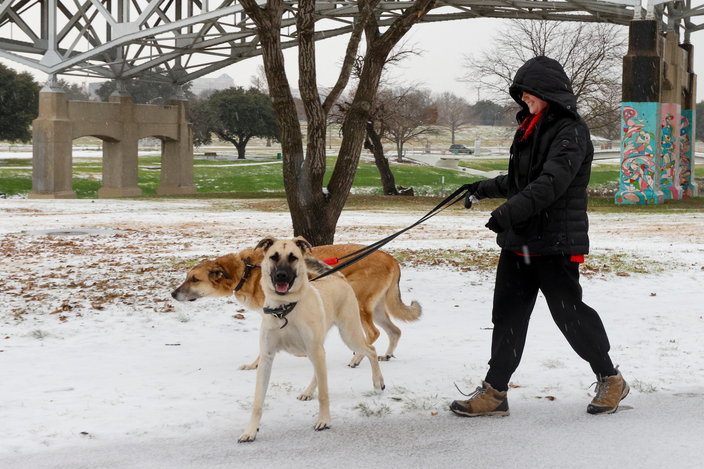 Alison Skordinski walks her dogs Ty and Kevin in Trinity Park as sleet falls, Thursday, Jan....