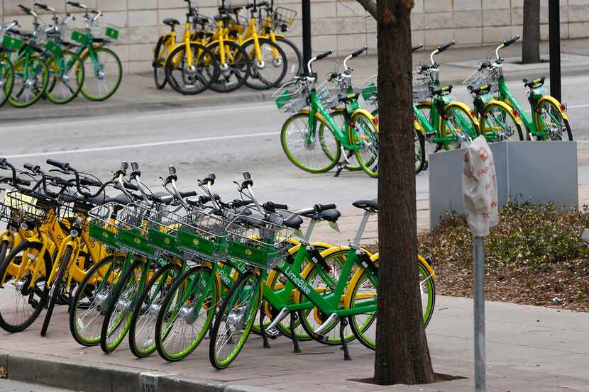 Rental bicycle lined up neatly in rows in downtown Dallas on Jan. 19, 2018.