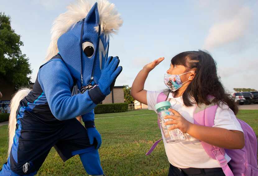 Dallas Mavericks mascot Champ welcomed kindergartner Iris Vallesa, 5, on the first day of...