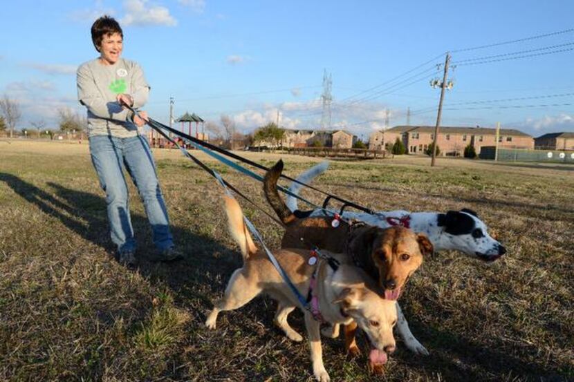 Tracy Allard’s dogs (from left), Ginger, Gracie and Dingo, are ready to run free on the...