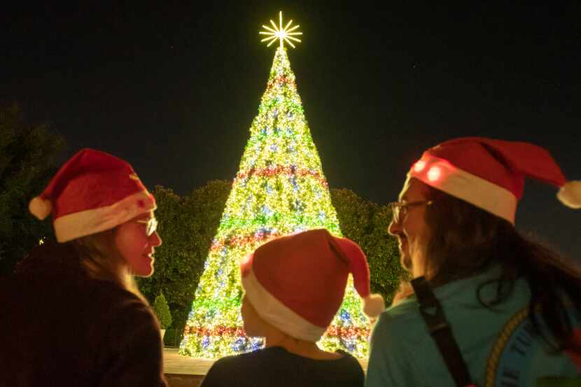 La nueva atracción en el Dallas Arboretum es su árbol de Navidad musical de 50 pies de alto...
