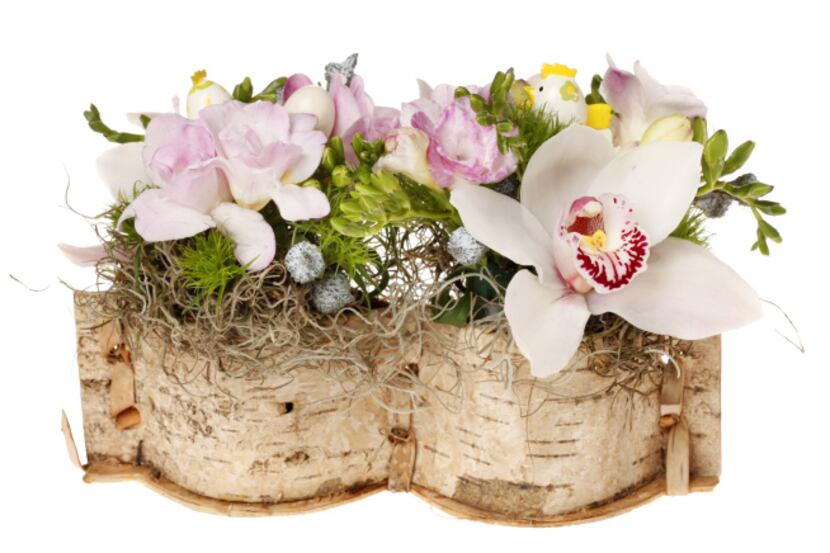 A double vase sheathed in birch bark holds orchids and fragrant freesias. $55 at Cebolla...