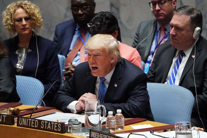 President Donald Trump speaks during this week's U.N. Security Council briefing.