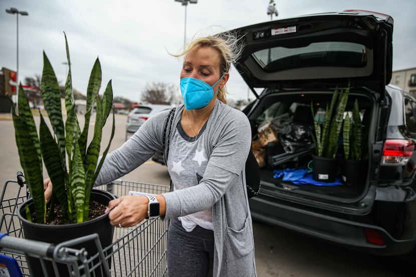 Diana Rodgers, 48, wears a mask as she unloads new plants she bought at Kroger in Dallas...