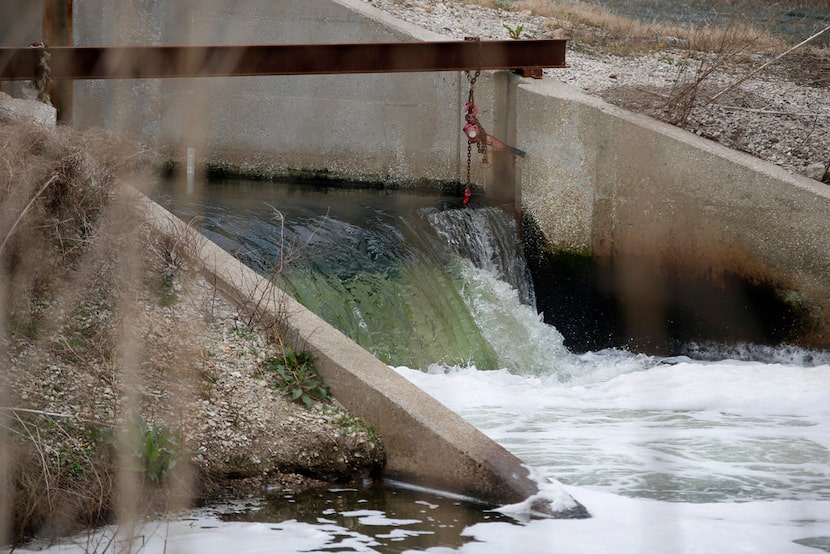 Treated water flows into a wetland that feeds into the Trinity River at the Central...