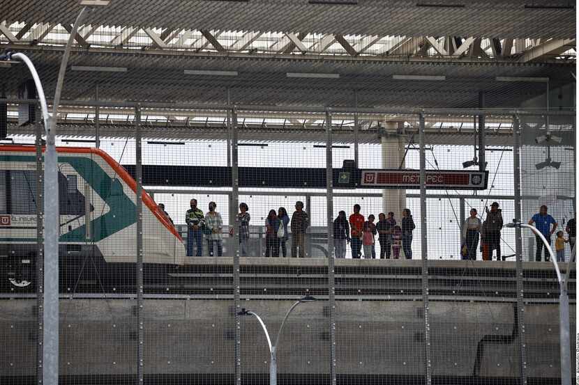 Colapsa ballena en obras del Tren Interurbano en Álvaro Obregón.