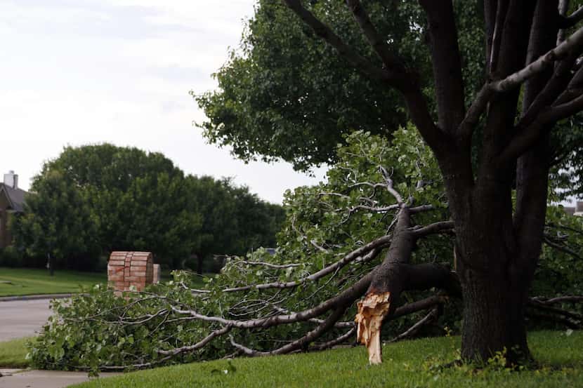 Celina officials urge residents to sign up for WeatherWarn and Code Red, two programs that...