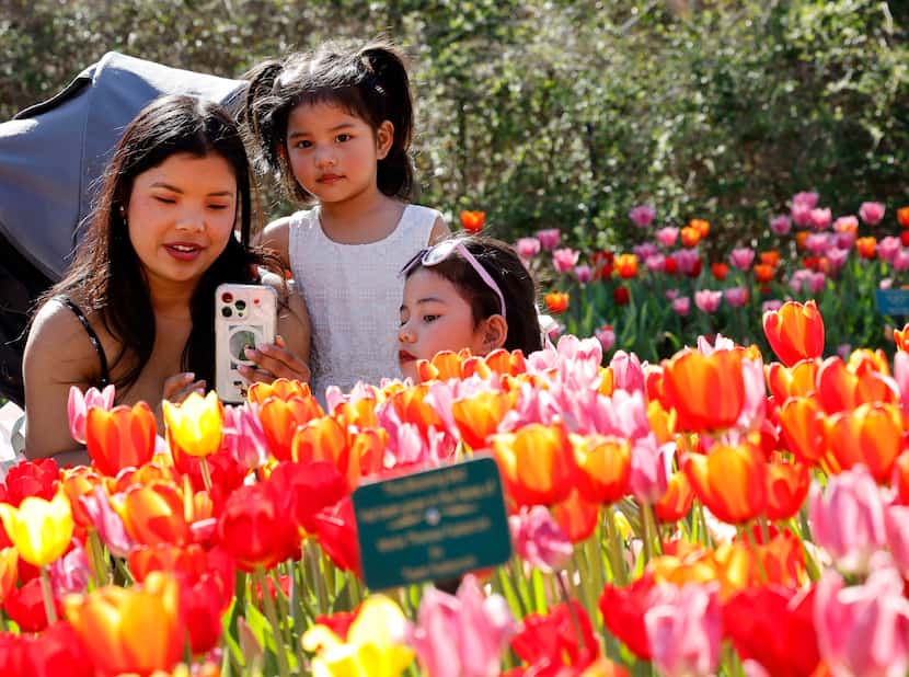 Zing Sui of Lewisville, Texas, from left, takes photos with her nieces Biak Chin, 3, and Van...