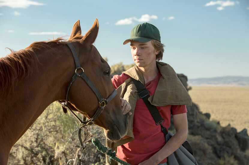 A boy and his horse: Charlie Plummer and friend in "Lean on Pete."