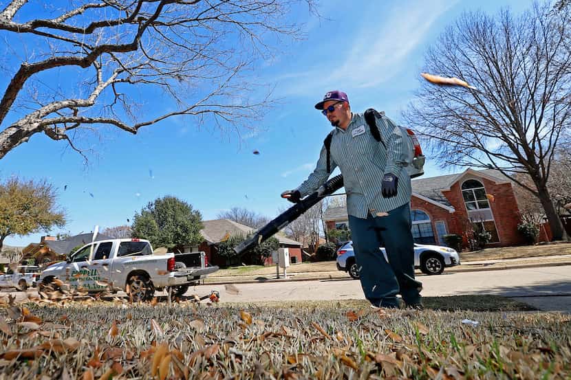 Dallas might consider a moratorium on leaf blowers, as the Dallas City Council discussed...