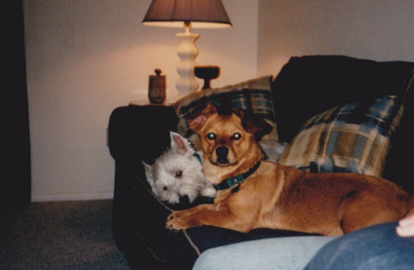 In 1999, and with Casper as usual.
