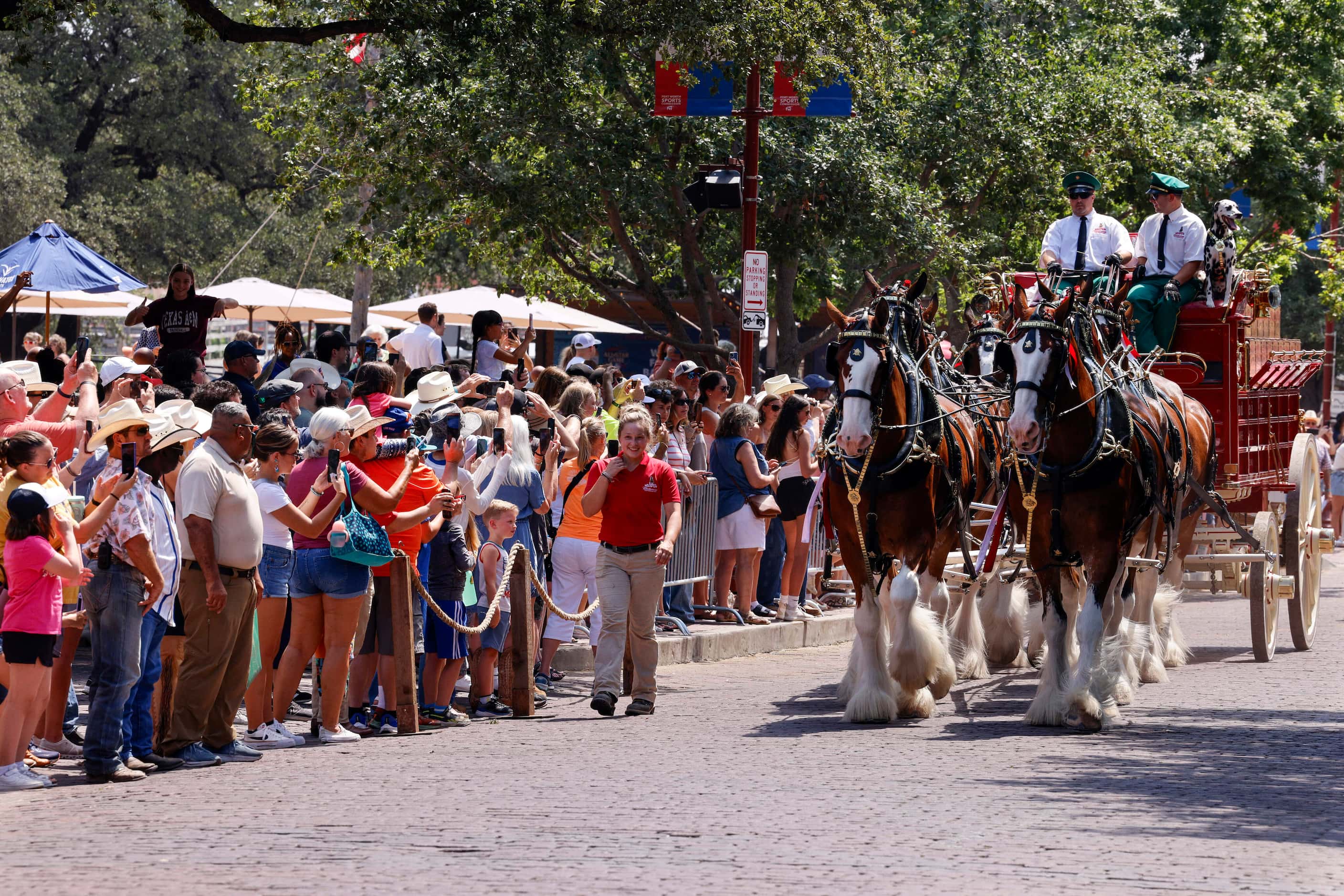 People take photos and videos as the Budweiser Clydesdales make their way through The...