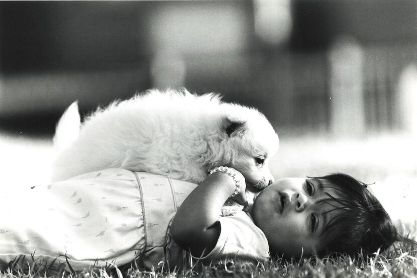 15-month-old Judy Rey Vargas playing with one of her Alaskan puppies at Maple Park in 1987.