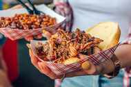 Photo of barbecue at a previous edition of the Windy City Smokeout.