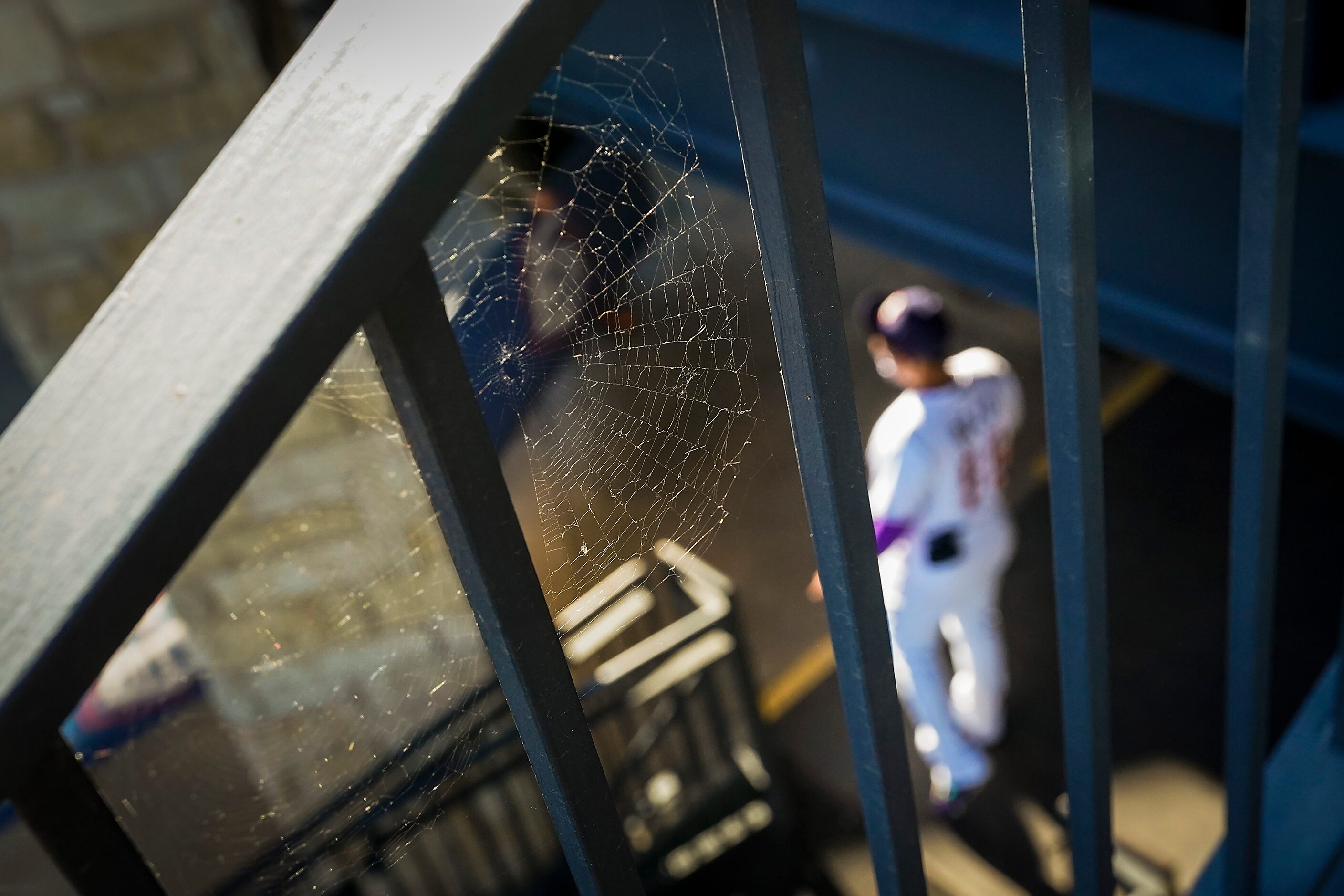 A spiderweb is seen on a railing as Round Rock Express catcher Yohel Pozo prepares to take...