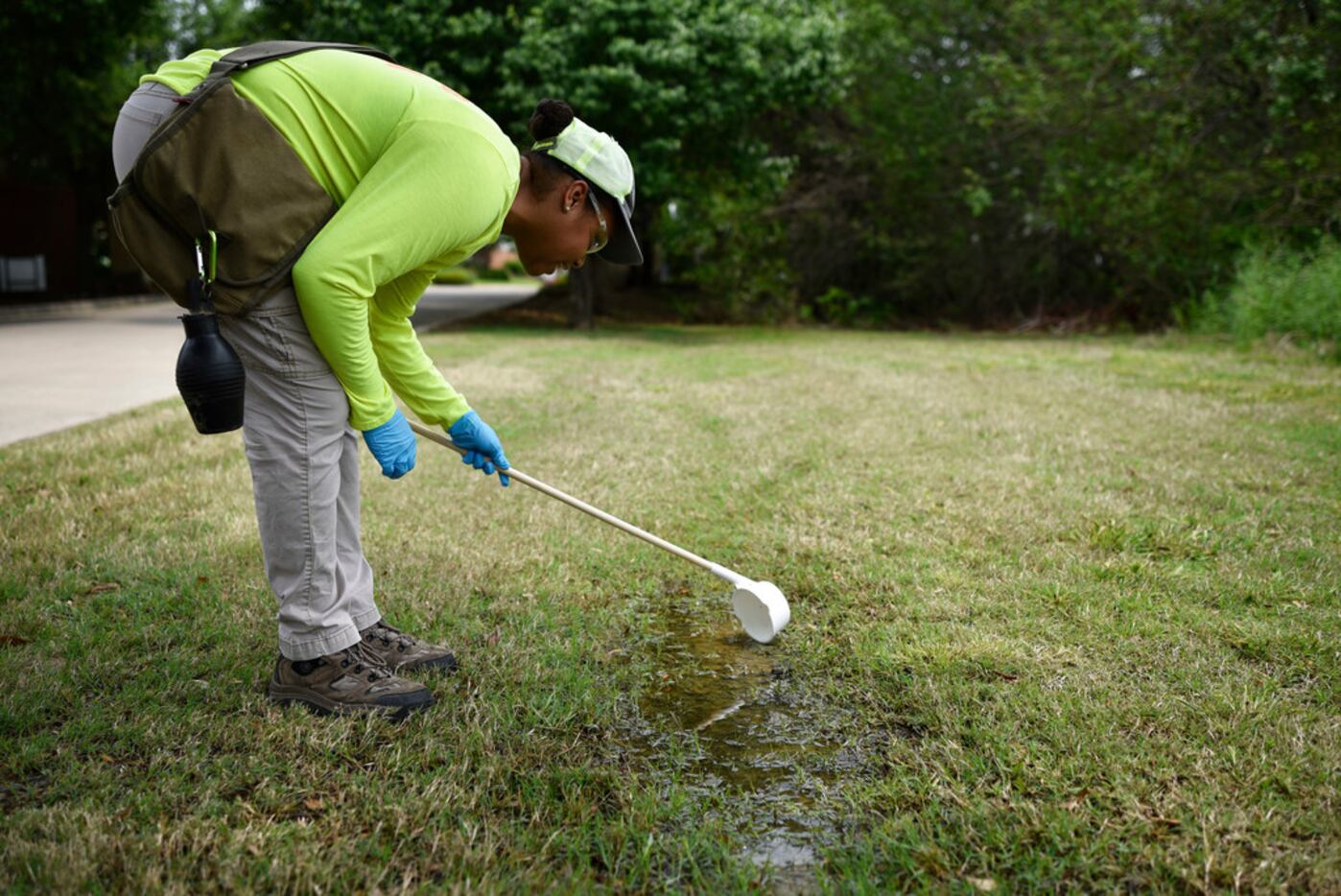 Erin Plaisance, assistant director of operations with Municipal Mosquito, uses a cup to...