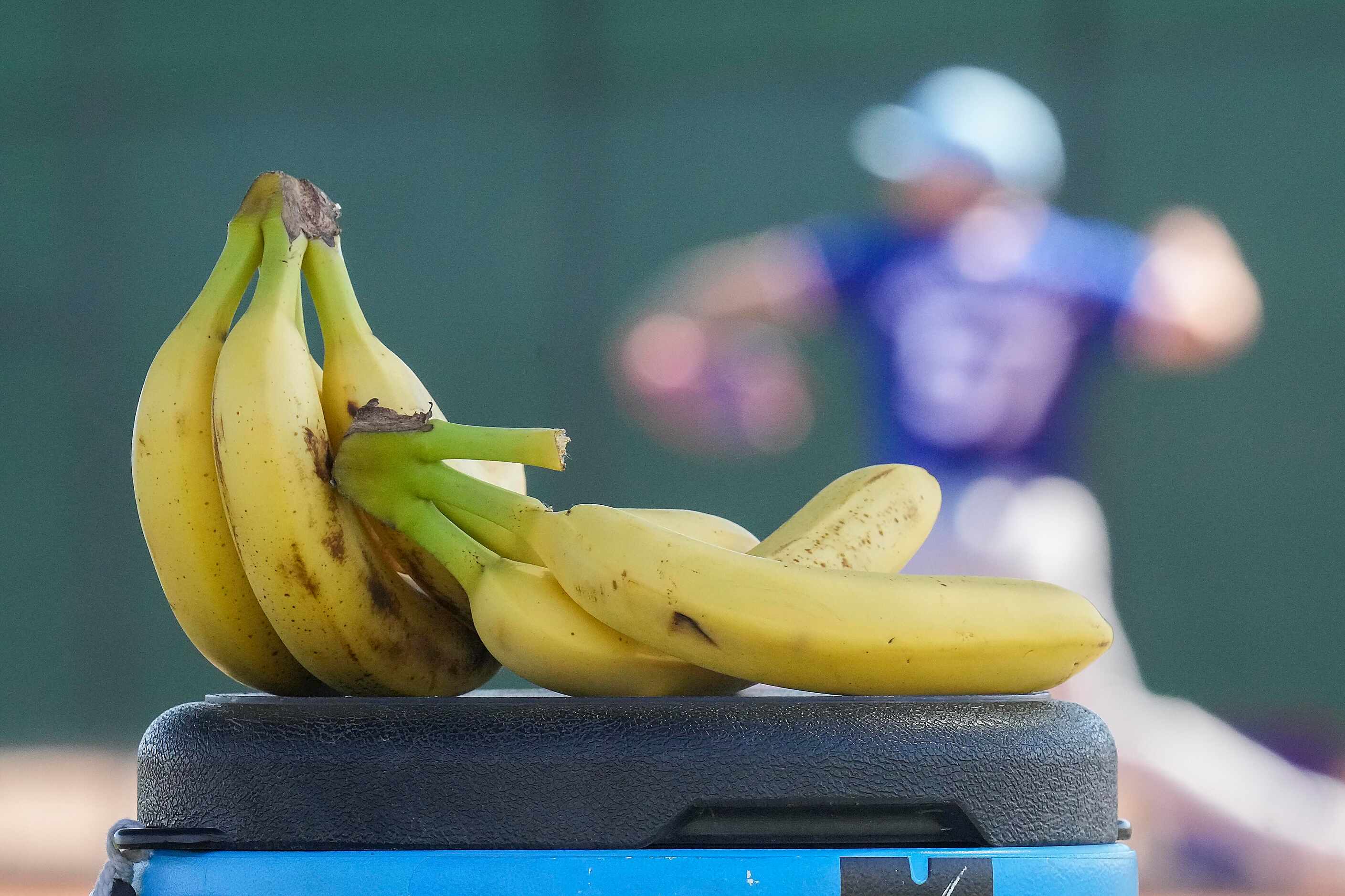 Bundles of bananas rest on a water cooler as pitchers throw in the bullpen during a spring...
