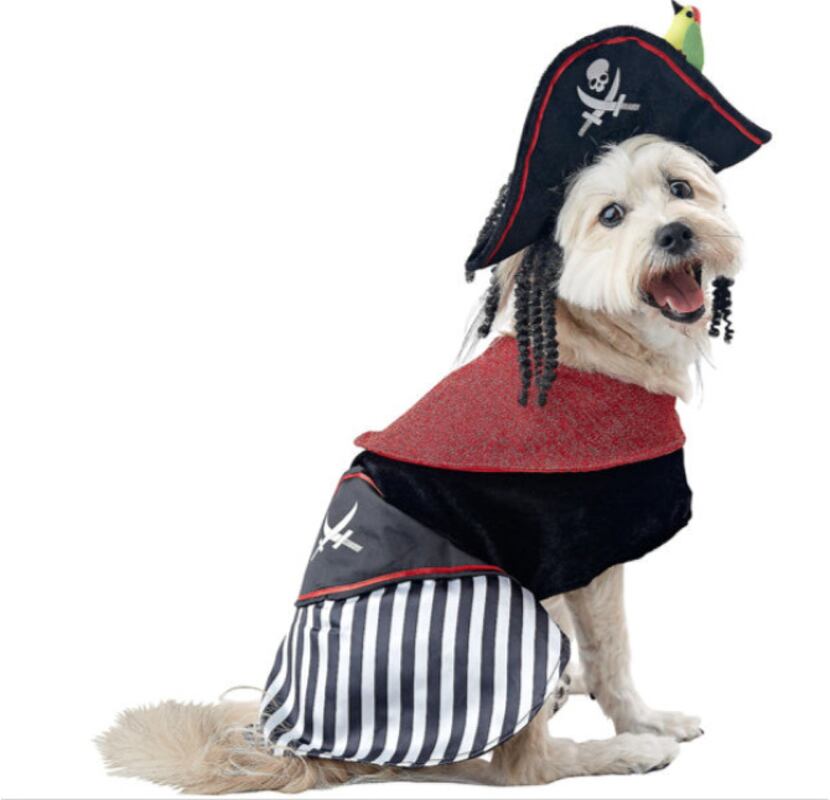 Petco's pirate includes long locks and a parrot. Extra-small to extra-large, $19.99 to $24.99.