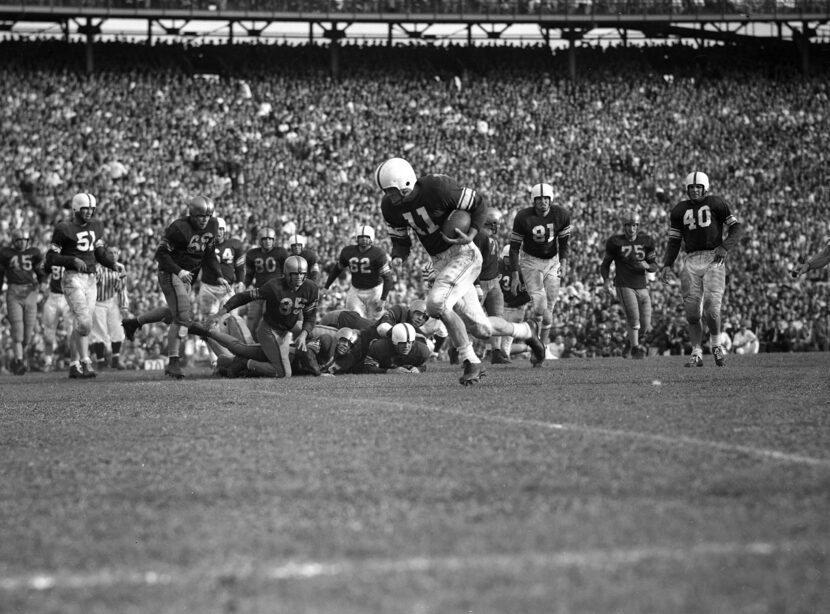 With all eyes of both teams on him, Darrell Royal (11) Oklahoma's quarterback sweeps around...