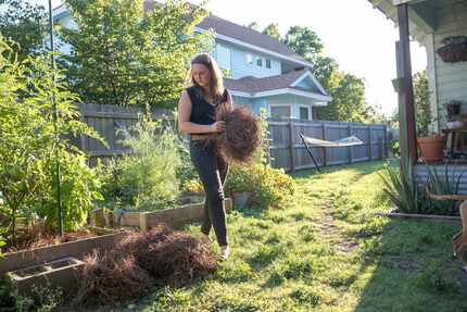 Since her spinal surgery, Liv Cannon has been able to work in the garden and play with her...