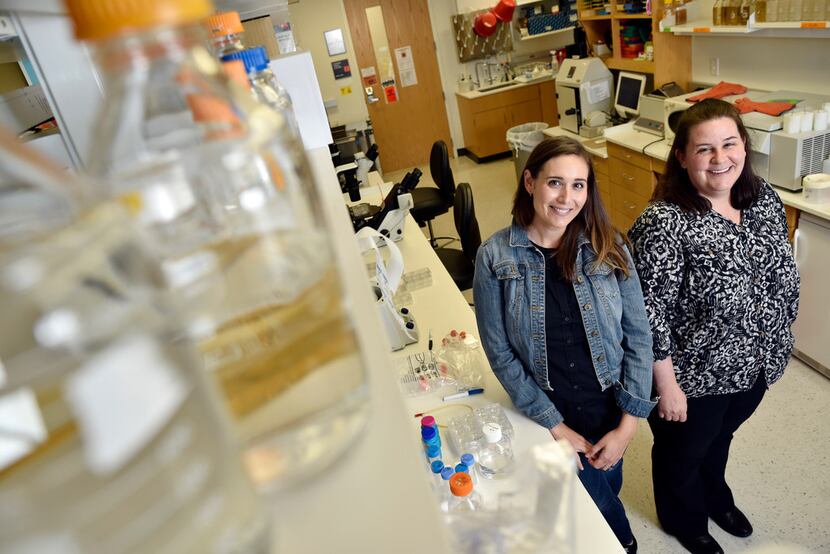 Arielle Woznica, 29, left, a postdoctoral researcher at UT Southwestern, with her mentor...