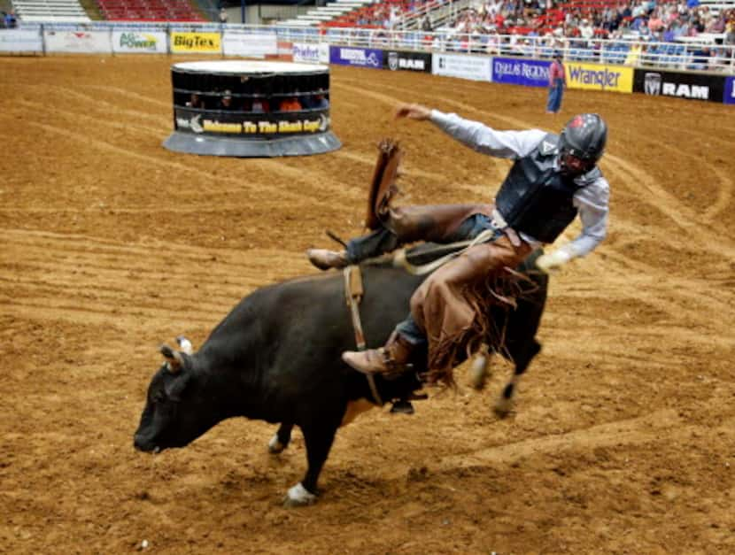 Varios conjuntos mexicanos tocarán en La Feria del Taco en el clásico rodeo de Mesquite....