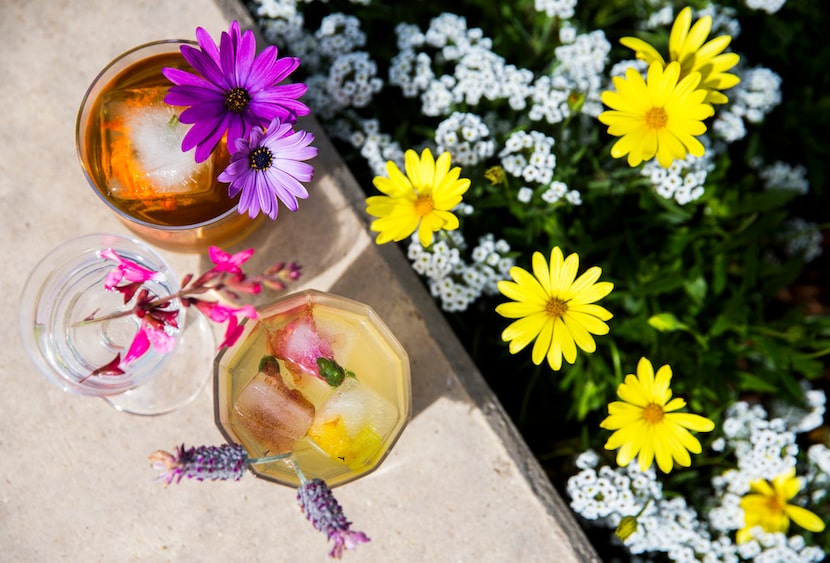 A rose old-fashioned garnished with African daisies, a gin and elderflower tonic with drinks...