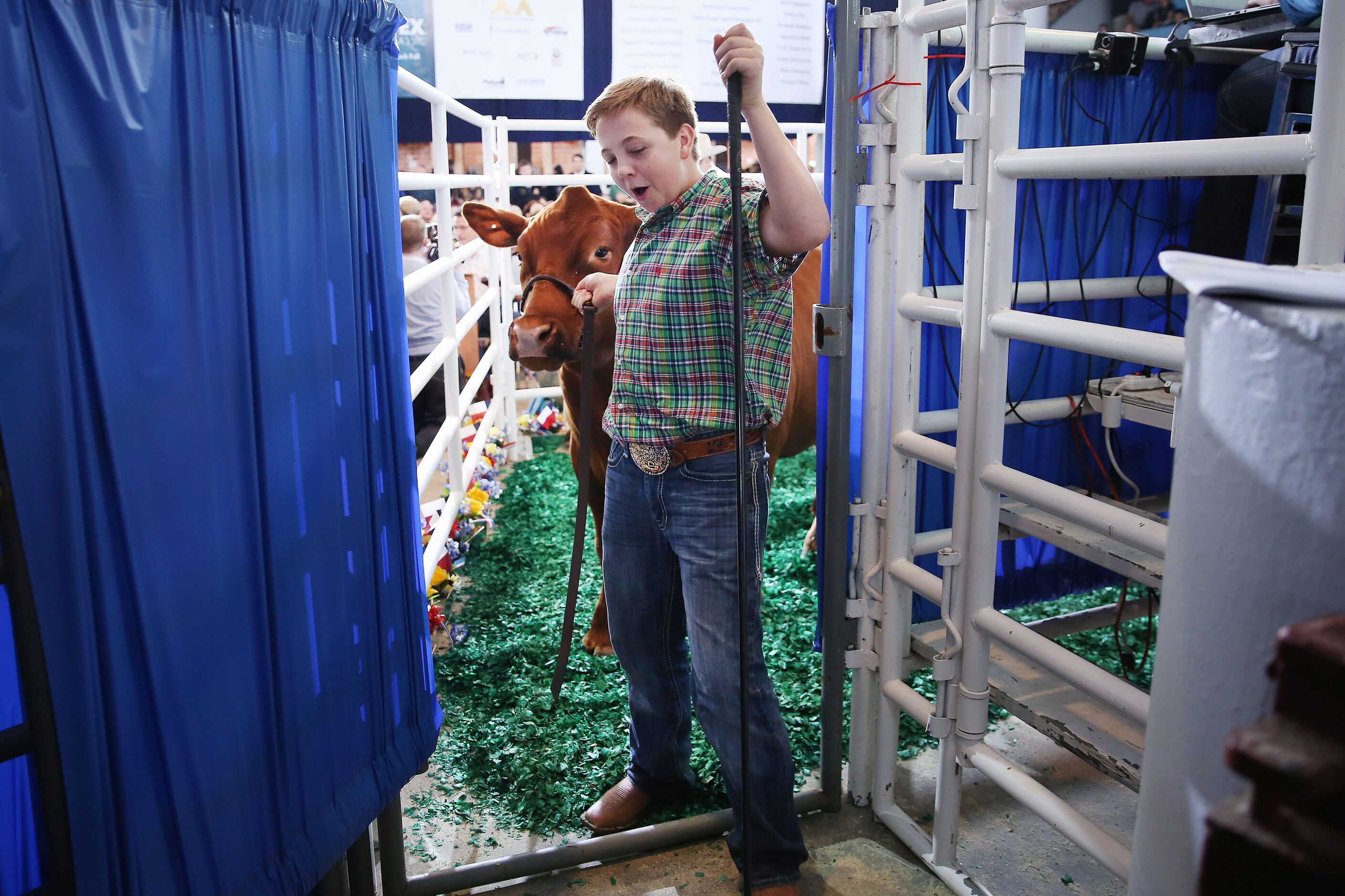 Jagger Horn, 14, celebrates after his grand champion steer was auctioned during the State...