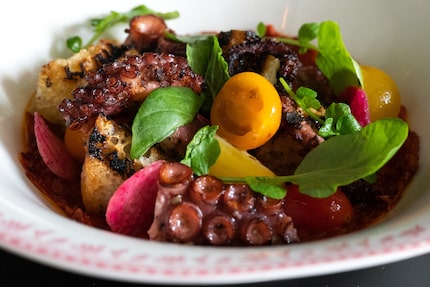 Sister's octopus panzanella comes with nduja, tomato and focaccia.