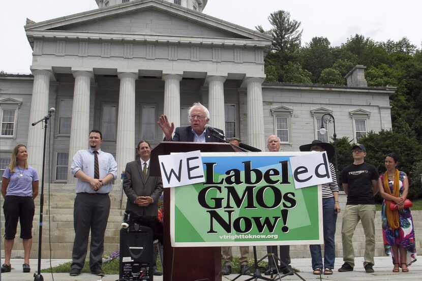 Democratic presidential candidate Bernie Sanders speaks at a rally at the Vermont...