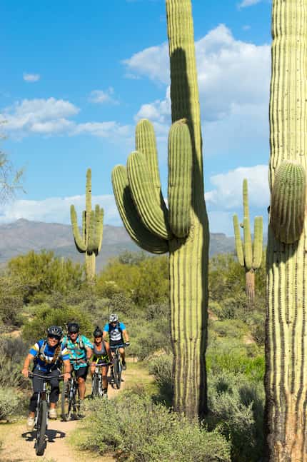 Mountain bikers ride in the sprawling McDowell Sonoran Preserve.