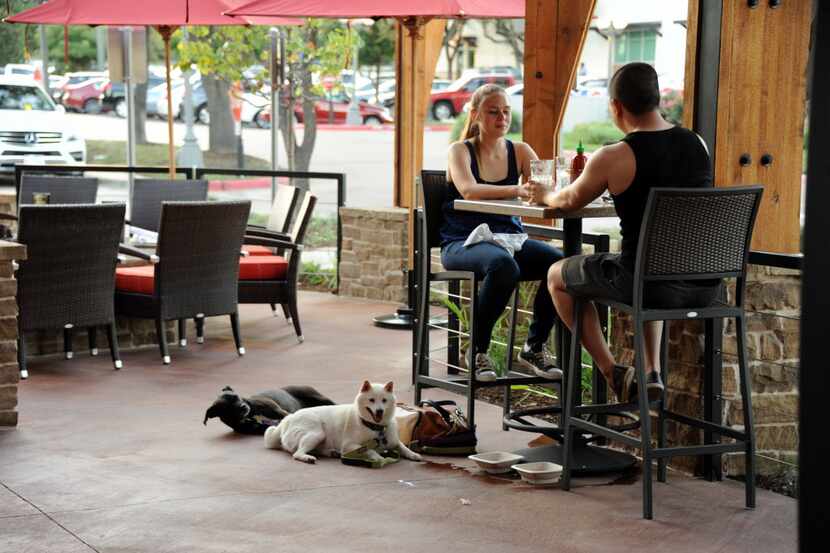 Several restaurants and bars in Frisco have dog-friendly patios.