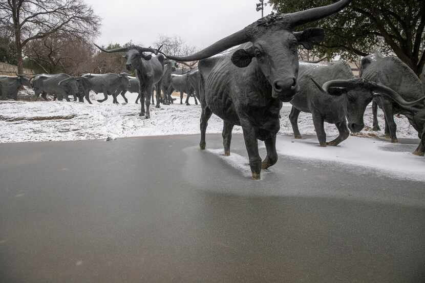 The water is frozen over at the cattle drive statues at The Plaza in front of the Dallas...