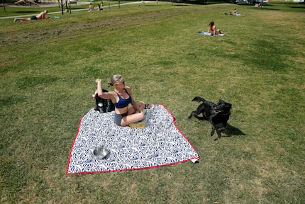 Amanda Calhoun of Dallas throws a tennis ball to her black lab KC at Cole Park in Dallas in...