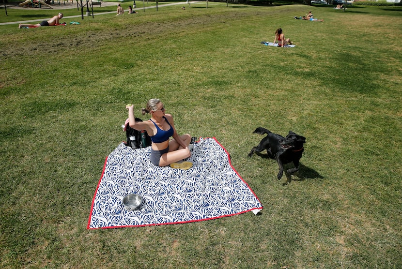 Amanda Calhoun of Dallas throws a tennis ball to her black lab KC at Cole Park on Friday.