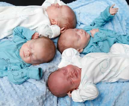 Identical quadruplets (from bottom to top) Hudson, Harrison, Hardy, and Henry Marr pose for...