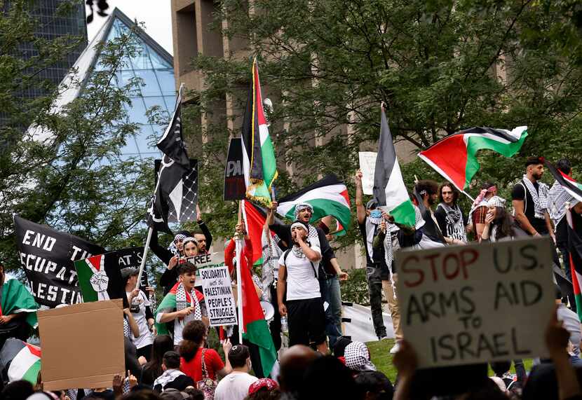 Protesters gathered on a grassy hill at Belo Garden in downtown Dallas.