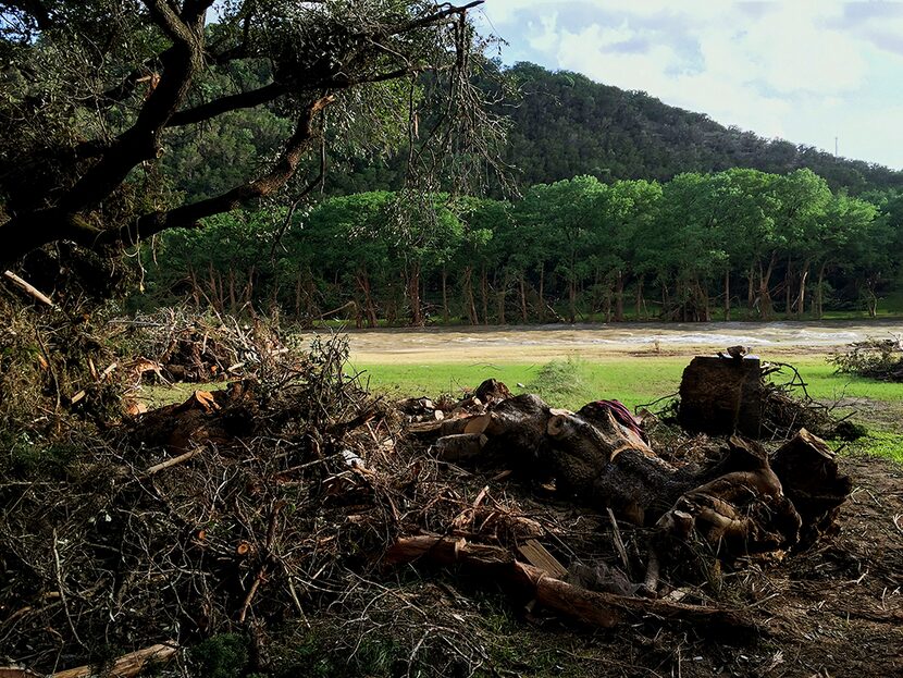  Damaged trees on the banks of the Blanco River on Wednesday, May 27, 2015 after flood...