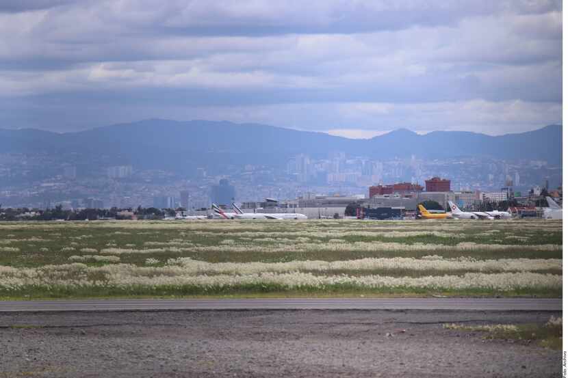 Se impactan aviones en calles de rodaje del Aeropuerto AICM de México.