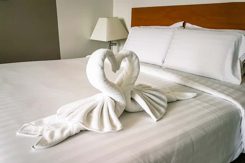 Norwegian Cruise Line says it will no longer automatically create towel animals for all of...