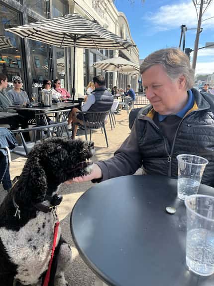 Man petting dog sits at a table on a patio outside on a sunny day