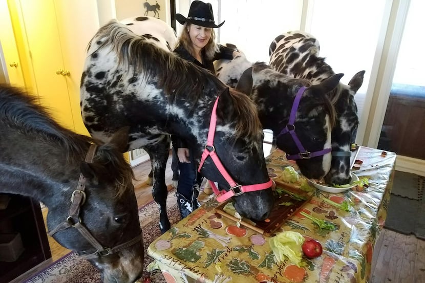 Four of Karen Schoeve's horses enjoy a meal in her Argyle home. In May, Schoeve sold her...