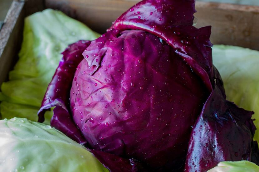 Red Acre cabbage from Botanical Interests. 