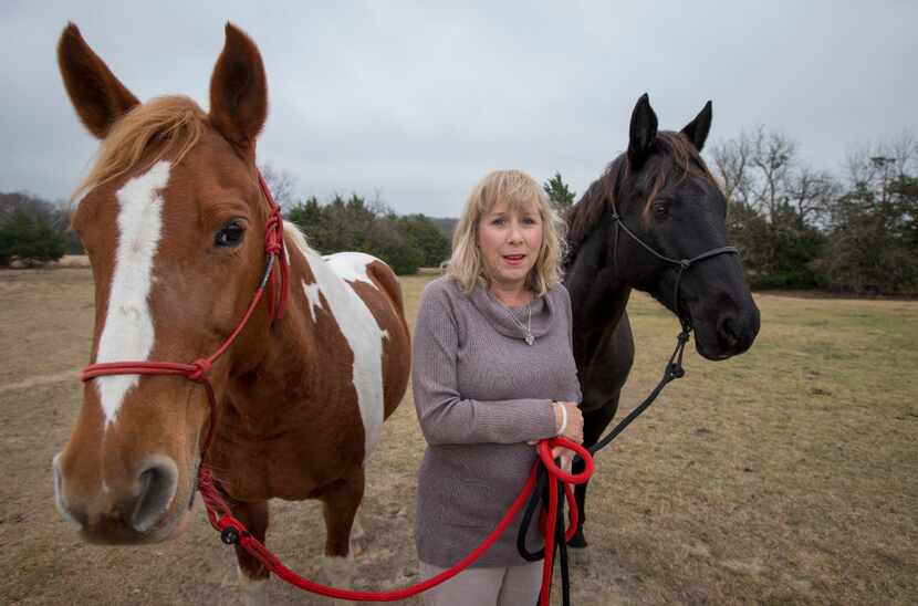 Brenda Rizos, a Lovejoy ISD activist, with two of her horses on her Lucas property in 2016....
