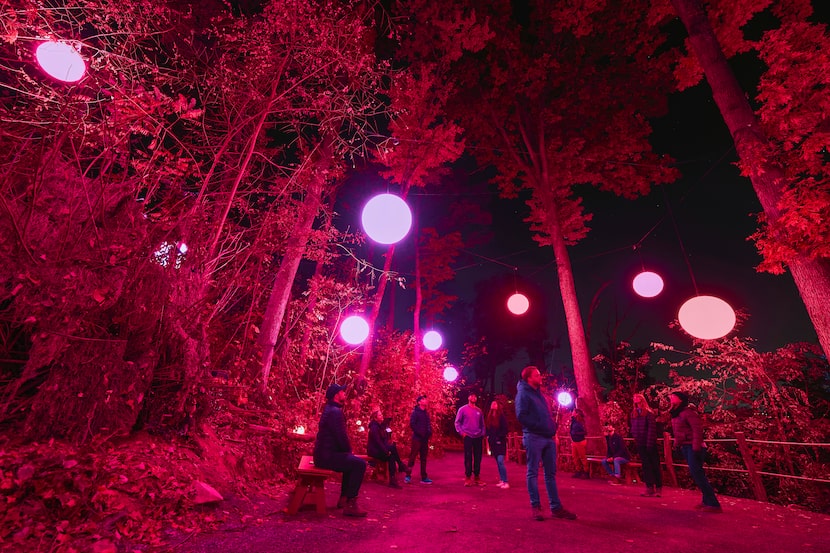 An outdoor area with trees at nighttime is lit up with glowing red orbs hanging from trees...