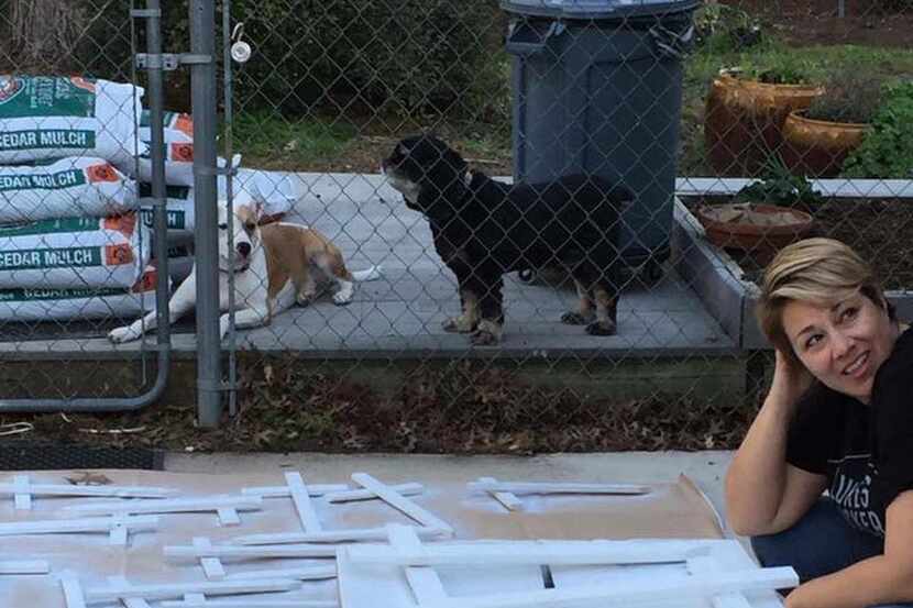 
Volunteers have made and painted 91 handmade crosses that they will set in place Saturday...